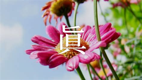 又 名字|「又」を使った名前、意味、画数、読み方、由来、成。